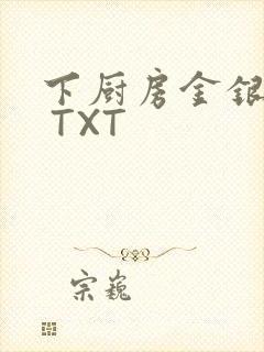 下厨房金银花露 TXT封面