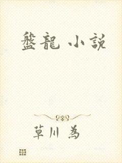 盘龙 小说
