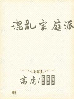 混乱家庭派对封面
