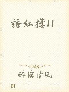诱红楼11封面