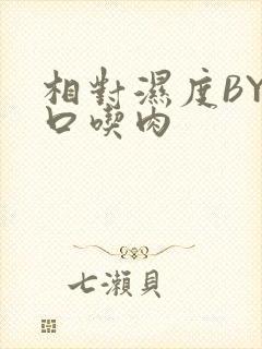 相对湿度BY大口吃肉