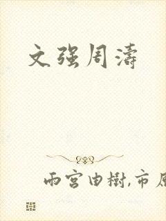文强周涛