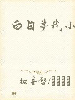 白日梦我小说