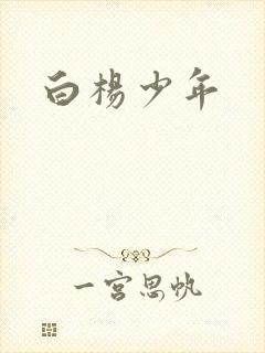 白杨少年