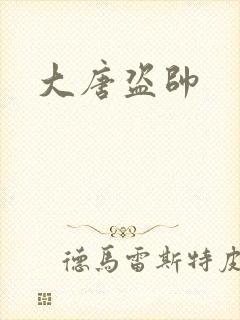大唐盗帅