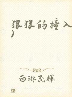 狠狠的撞入(h)