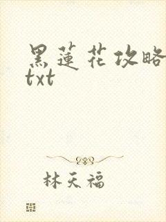 黑莲花攻略手册txt