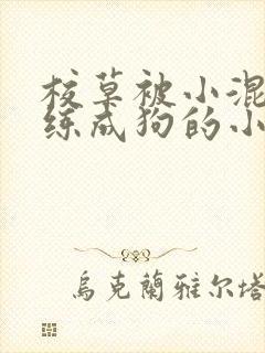 校草被小混混训练成狗的小说