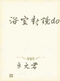 浴室对镜doi封面