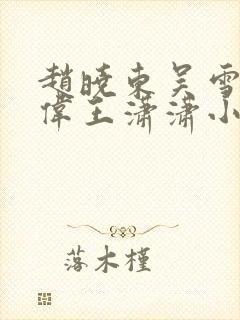 赵晓东吴雪晴郑伟王潇潇小说
