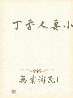 丁香人妻小说