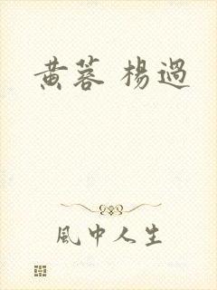 黄蓉 杨过