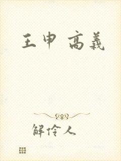 王申 高义