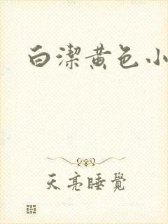 白洁黄色小说封面