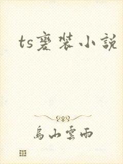 ts变装小说