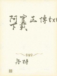 阿宾正传txt下载