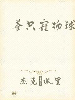 养只宠物球封面