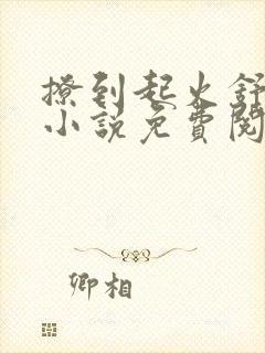 撩到起火舒漾的小说免费阅读全文