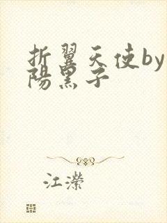 折翼天使by太阳黑子封面