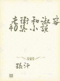 老卫和淑容1-40集小说