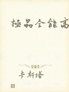 极品全能高手