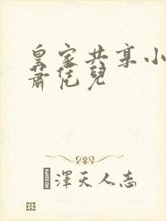 皇家共享小公主萧凭儿