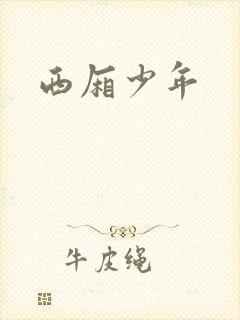 西厢少年