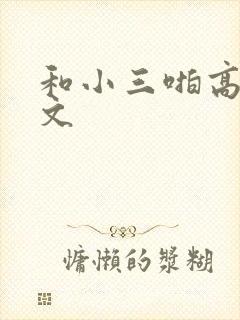 和小三啪高辣h文封面