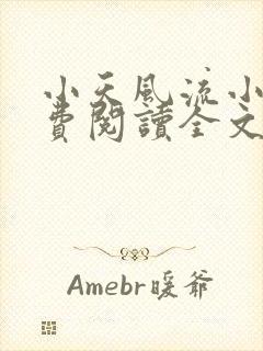 小天风流小说免费阅读全文最新章节封面