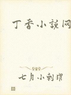 丁香小说网