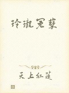 玲珑冤孽封面