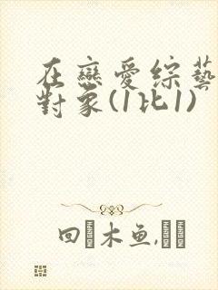 在恋爱综艺里搞对象(1比1)封面