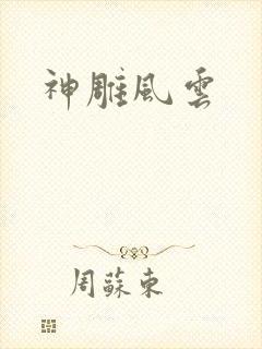 神雕风云