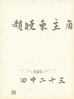 赵晓东主角小说