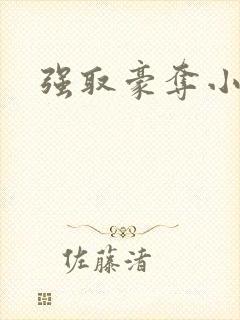 强取豪夺小说