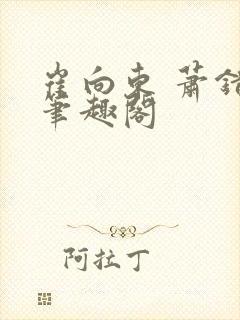 崔向东 萧错 笔趣阁