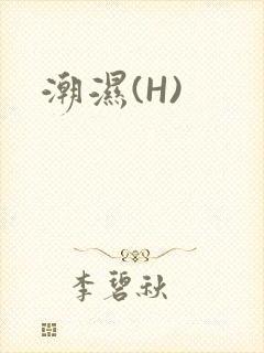 潮湿(H)