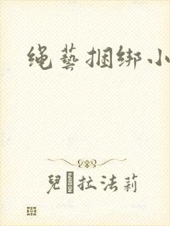 绳艺捆绑小说