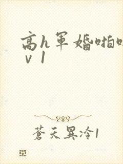 高h军婚啪啪1ⅴ1