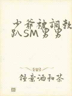 少爷被调教室跪趴SM男男