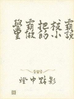 学霸把校霸往死里做的小说封面
