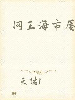 网王海市蜃楼