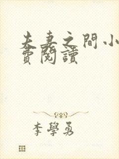 夫妻之间小说免费阅读