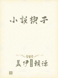 小说楔子