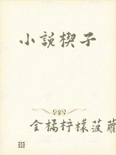 小说楔子