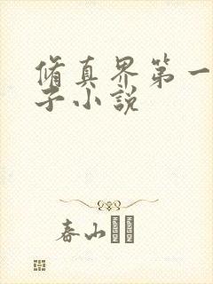 修真界第一病秧子小说
