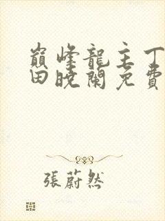 巅峰龙主丁长顺田晓兰免费阅读