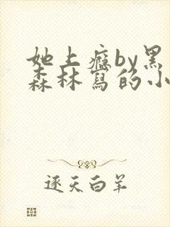 她上瘾by黑暗森林写的小说免费阅读无弹窗