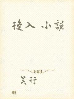 后入 小说