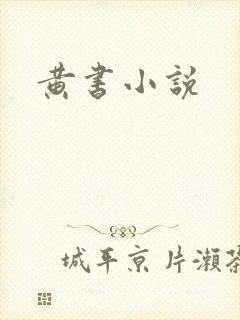 黄书小说